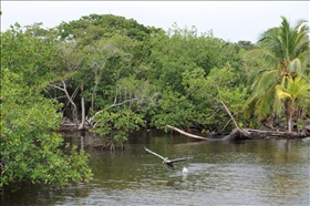 Cayo Coral